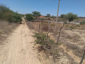 WhatsApp Image 2025-04-28 at 15.45.47.jpeg