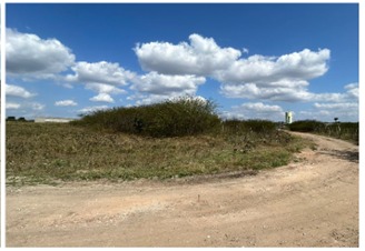 WhatsApp Image 2025-05-05 at 12.23.15.jpeg