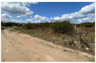 WhatsApp Image 2025-05-05 at 12.22.51.jpeg