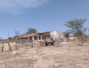 WhatsApp Image 2025-04-28 at 15.46.17.jpeg