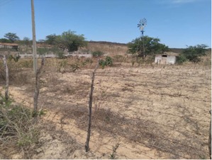 WhatsApp Image 2025-04-28 at 15.46.14.jpeg