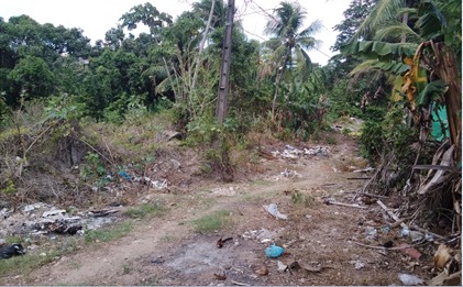 terreno cristo 2.jpeg