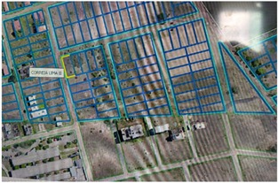 WhatsApp Image 2025-05-05 at 12.22.42.jpeg